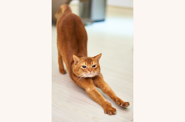  【高崎 ホットヨガ】コロナ後の対策 